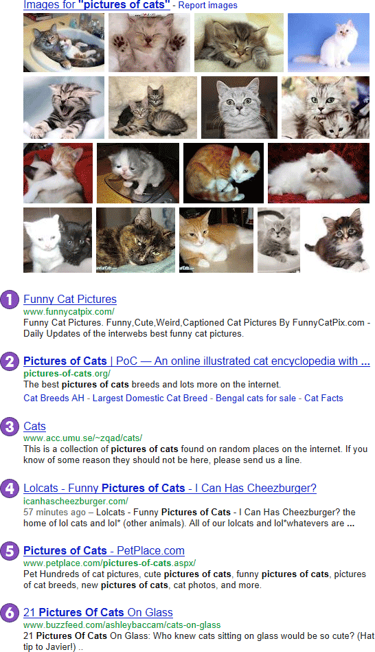 6-result SERP ("pictures of cats")